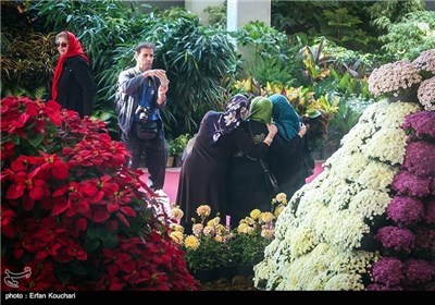 Seasonal Exhibition of Flower and Plant Wraps Up in Tehran