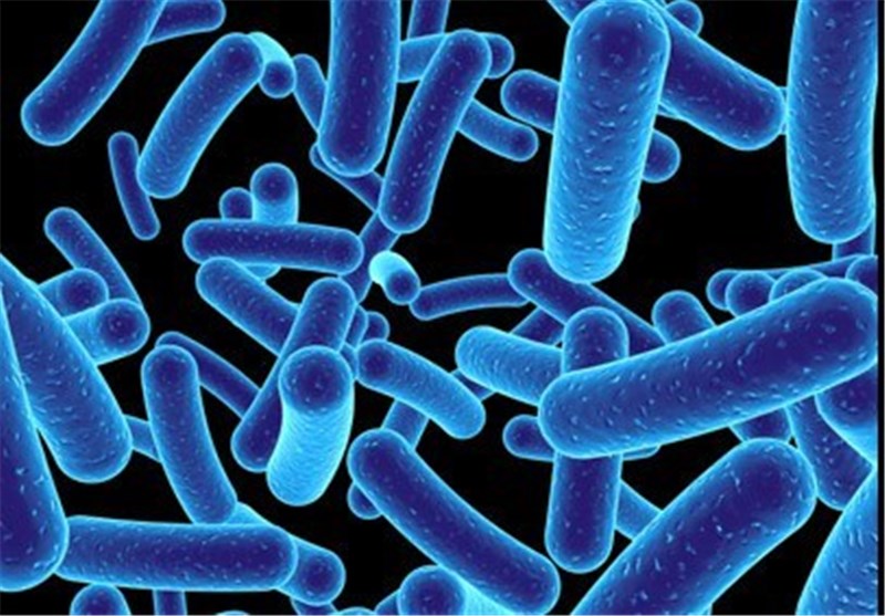 1.8 کیلوگرم میکروب در بدن یک فرد بالغ زندگی می‌کند!