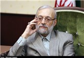 گزارشگر ویژه حقوق بشر باید بر پایه واقعیت‌های مستند عمل کند/ رفت‌وآمد 7 گزارشگر موضوعی به ایران