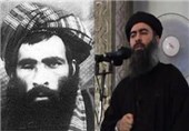 «طالبان افغانستان» بزرگ‌ترین چالش فراروی «داعش» است