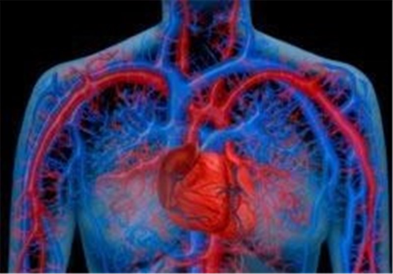 Heart’s Own Immune Cells can Help It Heal: Study