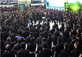 شور حسینی در عاشورا استان بوشهر را فرا گرفت