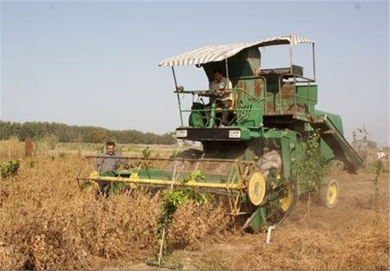 تولید محصولات استراتژیک کشاورزی در استان اردبیل افزایش یافت