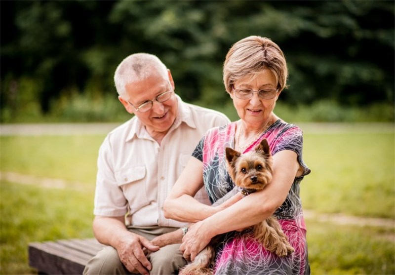 A Third of Care Homes in England Consider Closing Due to Rising Energy Bills