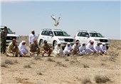 صدور 29 مجوز شکار پرندگان کمیاب برای ثروتمندان عرب از سوی دولت «نواز شریف»
