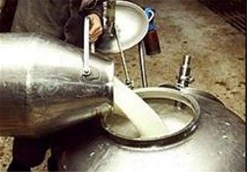 تولید شیر در شهرستان شهرضا روزانه به 250 تن می‌رسد