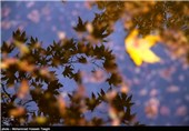 کاهش محسوس دمای هوا در خراسان رضوی/ پاییز سرد مشهد در راه است