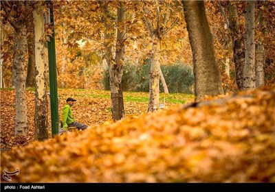 Iran's Beauties in Photos: Autumn in Tehran