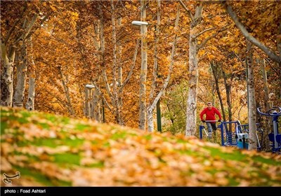 Iran's Beauties in Photos: Autumn in Tehran