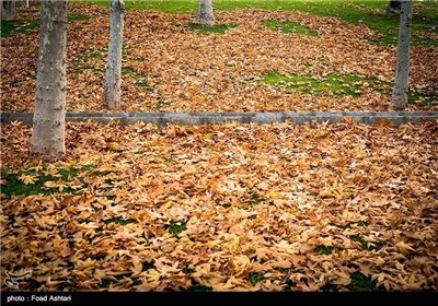 Iran's Beauties in Photos: Autumn in Tehran