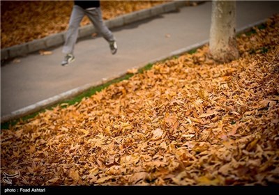 Iran's Beauties in Photos: Autumn in Tehran