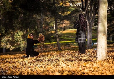 Iran's Beauties in Photos: Autumn in Tehran