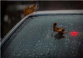 بارش باران همزمان با روز پدر در پایتخت؛ کیفیت هوای سالم تهران در سه روز آینده