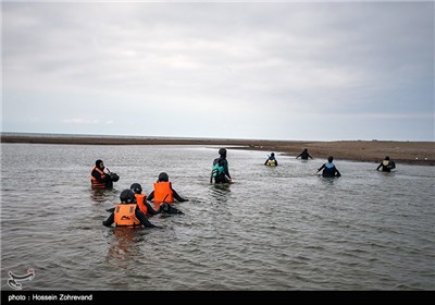 Iranian Armed Forces Exercise SPIE Operation