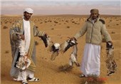 شکار «هوبره» توسط عرب‌ها، بخش مهم سیاست خارجی پاکستان است