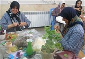 5 میلیارد ریال تسهیلات اعتباری اشتغال‎زایی معلولان استان بوشهر تخصیص یافت