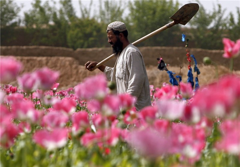 ہیروئن سے طالبان اربوں ڈالرکماتے ہیں، امریکی دعوی