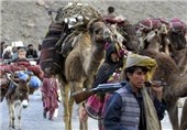 «کوچی‌ها» خواستار اسکان دائم و مشارکت در ادارات دولتی افغانستان شدند