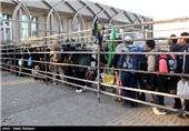 Iranian Pilgrims Crossing Mehran Border