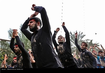 Iraq's Karbala Hosts Millions of Shiites for Arbaeen 