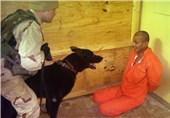 وقتی آمریکا شکنجه را «فنون بازجویی پیشرفته» می‌خواند + فیلم و عکس
