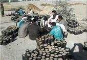 مجتمع گلخانه‌ای تولید گل و گیاه با ظرفیت 200 هزار اصله نهال در ایرانشهر افتتاح شد