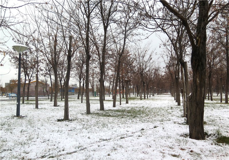 نخستین برف زمستانه قزوین را سفید پوش کرد