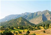 75 هزار هکتار از عرصه‌های منابع طبیعی استان فارس مورد پایش قرار گرفت