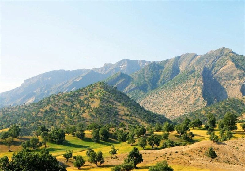 طرح‌های جنگل‌کاری در استان سمنان توسعه می‌یابد