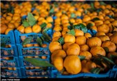 افزایش 50 درصدی قیمت سبزیجات در اصفهان/ افزایش قیمت نارنگی و پرتقال در بازار
