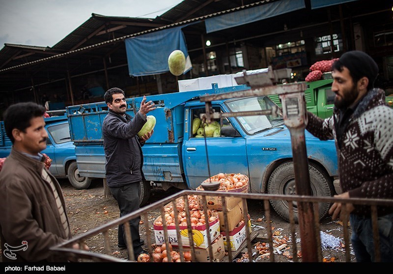 ‌‌80 درصد بازار میوه و تره بار استان یزد در دست اتباع بیگانه است‌