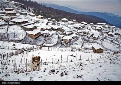 Iran’s Beauties in Photos: Winter in Khalkhal-Asalem Region