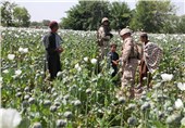 حضور آمریکا در افغانستان زمینه رشد مافیای مواد مخدر را فراهم کرد