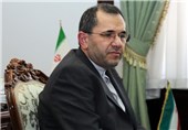 Nuclear Talks on Right Track: Iranian Negotiator