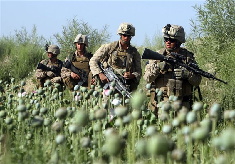نگرانی اروپا از کاهش کشت مواد مخدر در افغانستان