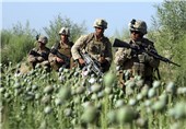 اعتراف کاخ سفید به افزایش تولید مواد مخدر در افغانستان