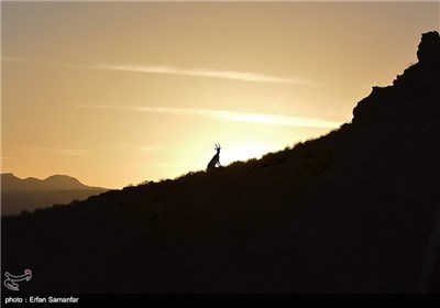 Bahram-e Gur Protected Area in Iran’s Shiraz