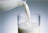 سالیانه بالغ بر 400 هزار تن شیر در البرز تولید می‌شود