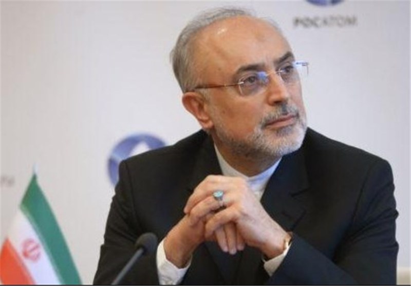 Iran to Do Construction Work of New Nuclear Units