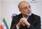 Iran’s Nuclear Chief Confident of PMD Case Closure