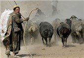 افغانستان هفتمین و پاکستان دهمین کشور آسیب‌پذیر جهان هستند