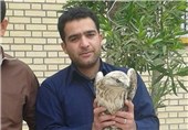 4 پرنده شکاری نادر تحویل محیط زیست بوشهر شد