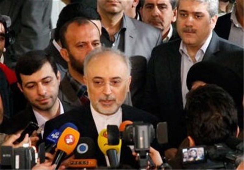 صالحی: ایران در مذاکرات هسته ای، دستش را بالا نخواهد برد