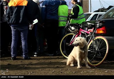 Cycling for Clean Air in Iran’s Northern Province of Gilan 