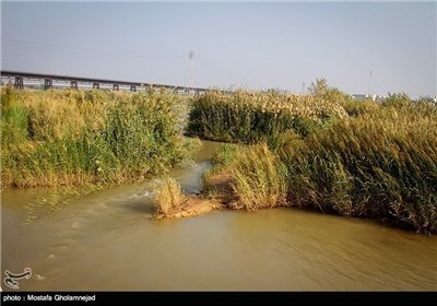 آلودگی زیست محیطی رودخانه کارون