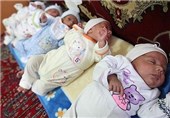 تلاش‌ها برای نجات 5 قلوهای کرمانی بی‌ثمر ماند