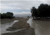 بارش باران کشاورزان زرآباد سیستان و بلوچستان را خوشحال کرد