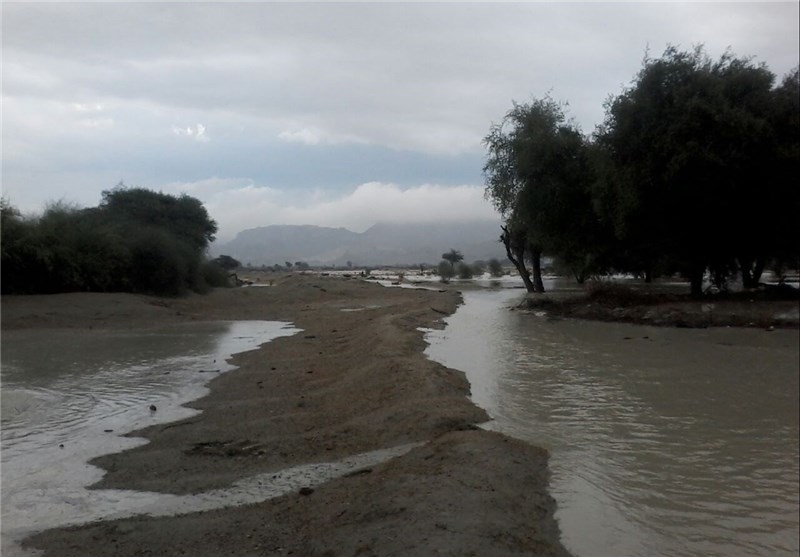 میزان بارش باران در استان بوشهر 80 درصد کاهش یافت