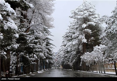 Snow Falls in Iran’s Desert City of Kerman