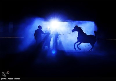 جشنواره اسب‌های اصیل عربی - کرج